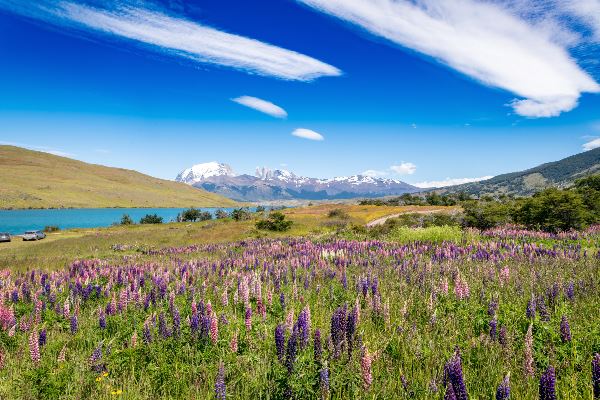 Classic Patagonia Treks (Exodus)