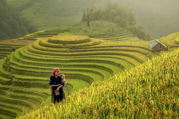 Hiking in Northern Vietnam (Exodus)