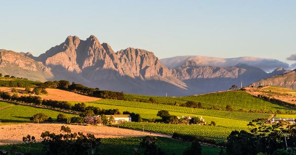 Highlights of South Africa's Winelands (Exodus)