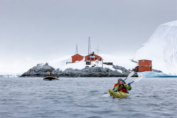 Penguins of the Far South: Falklands, South Georgia & Antarctica (Exodus)