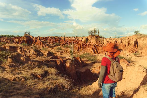 Colombia: Culture, Coffee & Caribbean (Exodus)