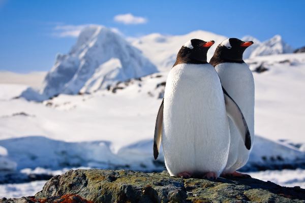 Antarctic Express: Fly the Drake (Exodus)