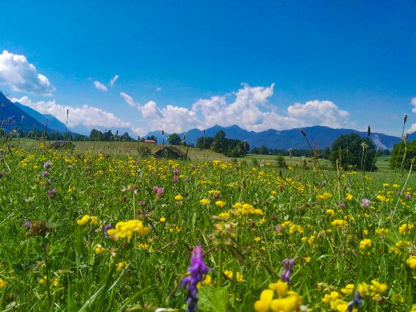 Lakes & Mountains of Bavaria Cycling (Exodus)