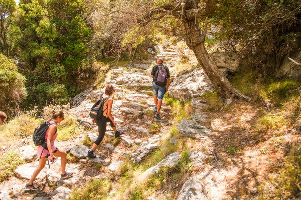 Walking the Mountains & Villages of Evia (Exodus)