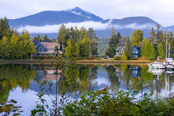 Whales & Bears of British Columbia (Exodus)
