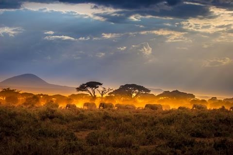 16 daagse safari Best of Kenya (TUI Nederland)