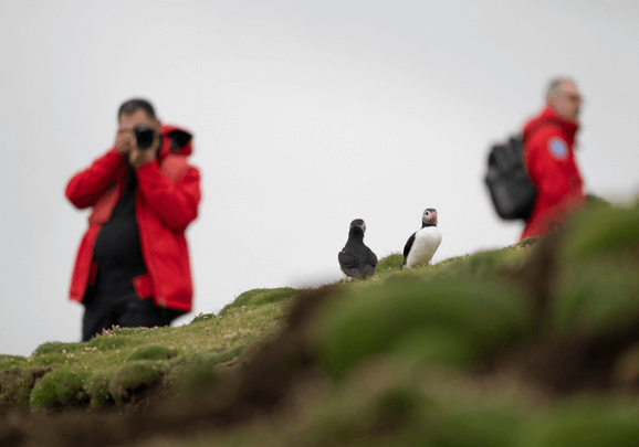 Wild Islands & Lands of Legends (Poseidon)