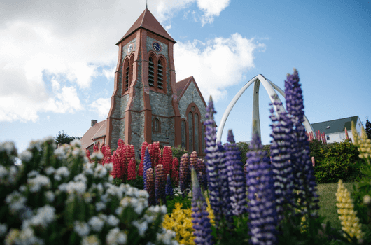Antarctic Wildlife Adventure (Poseidon)