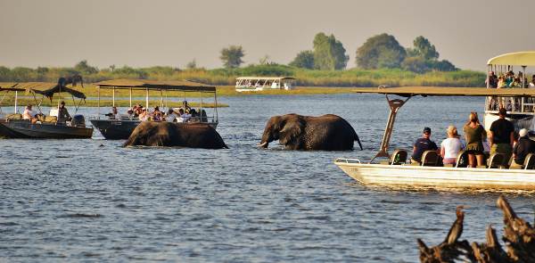 Wilderness of Southern Africa: Safari by Land & Water (Collette)