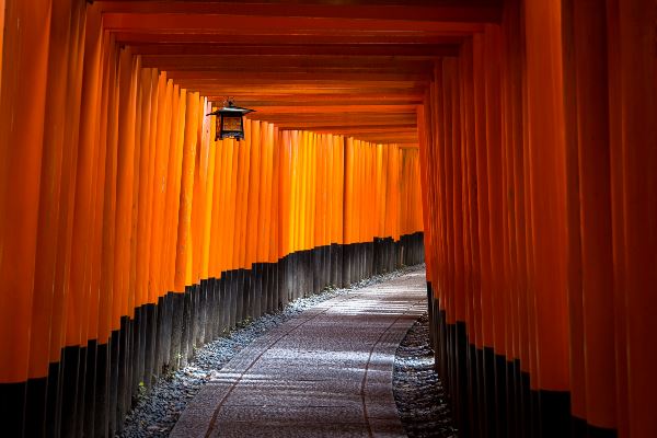 Cultural Treasures of Japan (Collette)