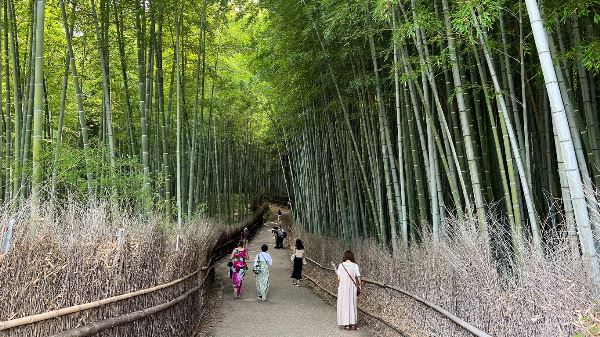 Journey Through the Heart of Japan (Collette)