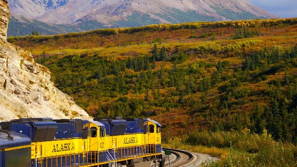 Alaska's Northern Lights (Collette)