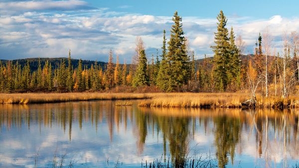 Alaska: America's Last Frontier (Collette)