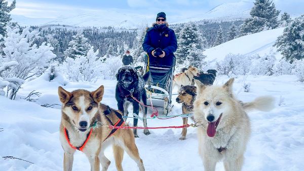 Aurora Adventure (Collette)