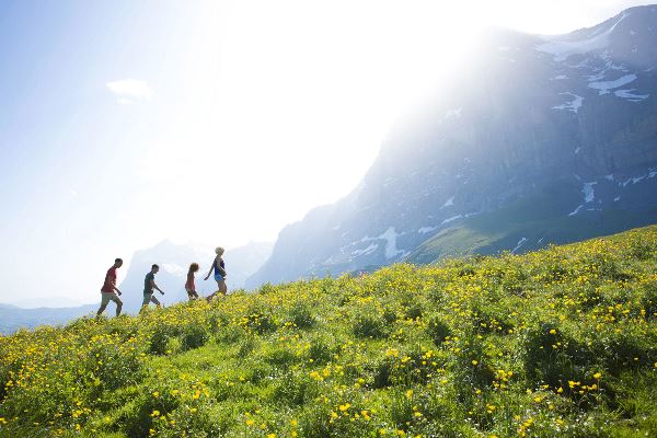 Active Alps (Contiki)