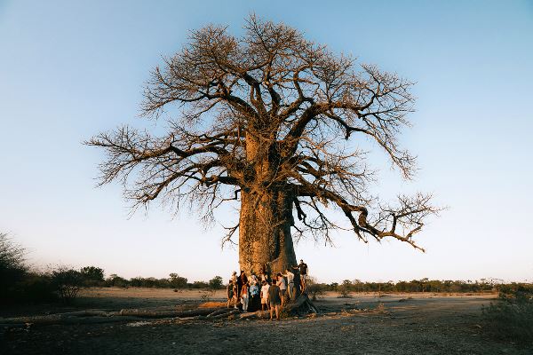 Tanzania Adventure (Contiki)