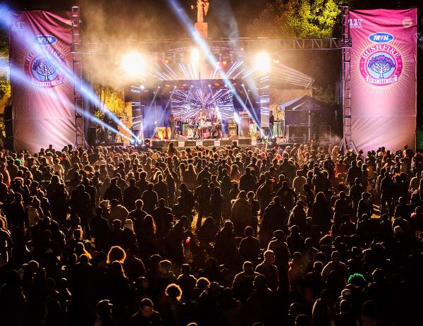 Cape Town, Kruger and Bushfire Festival (Contiki)