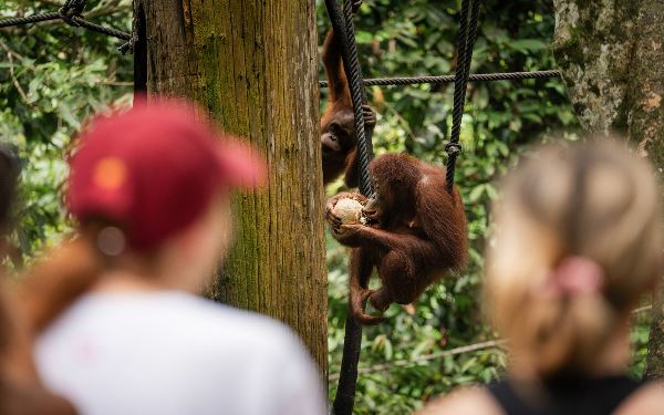 Borneo Adventure (Contiki)