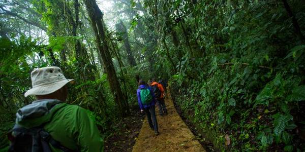 Costa Rica: Monteverde and La Fortuna (G Adventures)