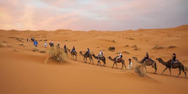 Moroccan Desert Adventure: River Canyons & Camels (G Adventures)