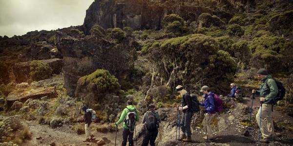 Mt Kilimanjaro Trek - Machame Route (8 Days) (G Adventures)