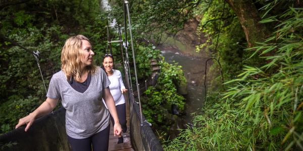 Costa Rica: The Wonders & Wildlife of the North (G Adventures)