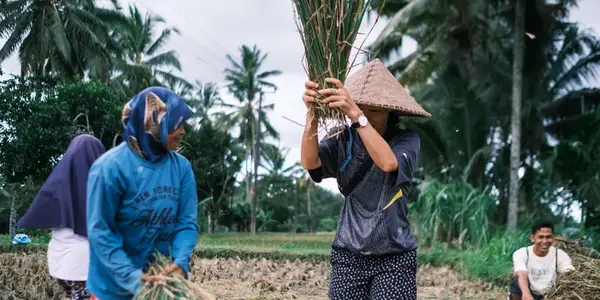 Lombok & Gili Adventure: Culture, Peaks & Paradise (G Adventures)
