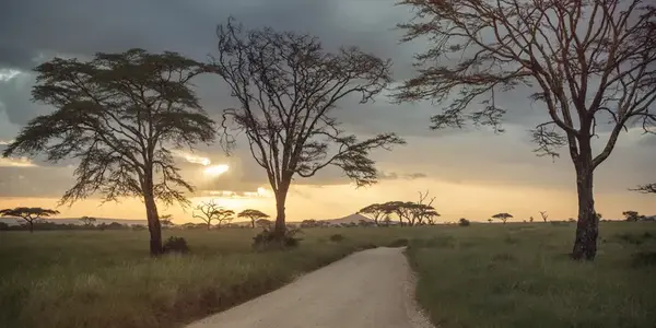 Incredible Tanzania: Serengeti to Zanzibar (G Adventures)