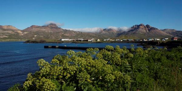 Local Living Iceland— Bakkagerði (G Adventures)