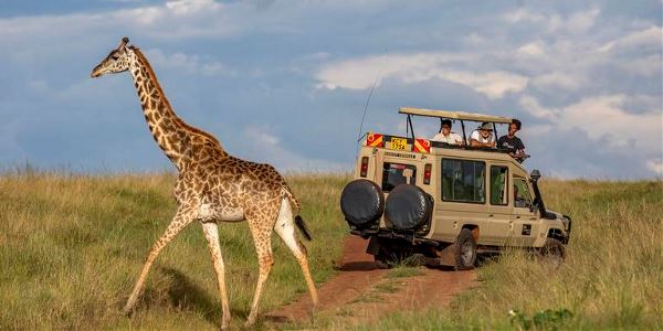 Kenya: Masai Mara, Tsavo & Coastal Wonders (G Adventures)