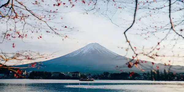 Signature: Japan's Tokyo, Kyoto & Osaka (G Adventures)