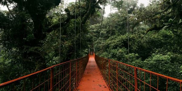 Signature: Costa Rica's Tortuguero, Arenal & Cloud Forests (G Adventures)