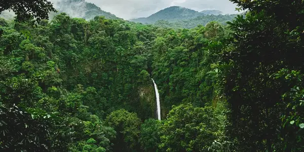 Signature: Costa Rica's Monteverde, Arenal & Guanacaste (G Adventures)