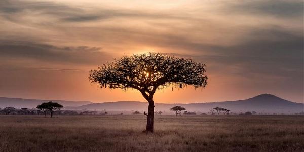Signature: Tanzania’s Serengeti, Tarangire & Ngorongoro Crater (G Adventures)