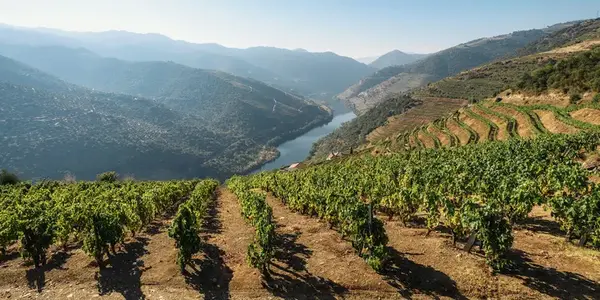 Signature: Portugal's Porto, Douro Valley, & Lisbon (G Adventures)