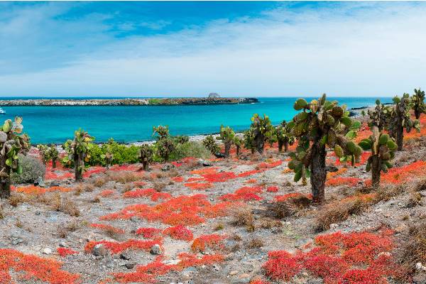 Galapagos at a Glance: Southern Islands (Grand Daphne) (Intrepid)
