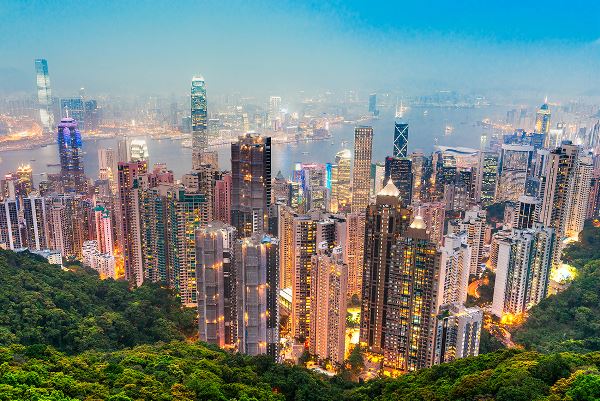 Real China (Intrepid)