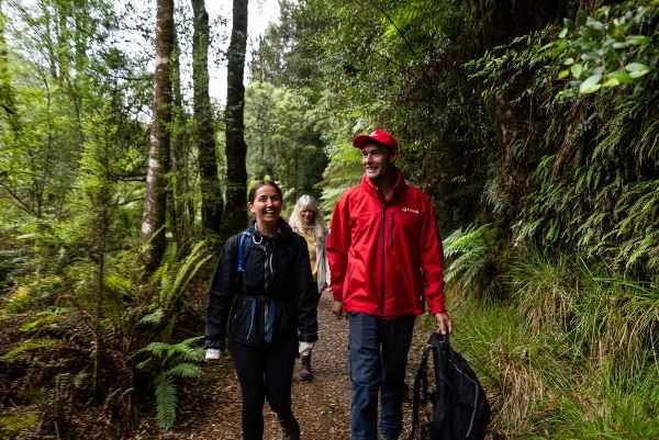 Walk Tasmania's Tarkine & Cradle Mountain (Intrepid)