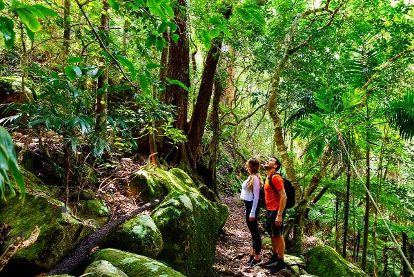 Walk Queensland's Scenic Rim (Intrepid)