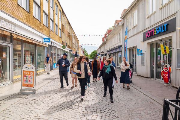 A Taste of Scandinavia (Intrepid)