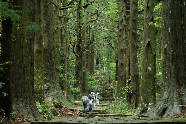 Japan: Koya-san & Kumano Kodo Trek (Intrepid)