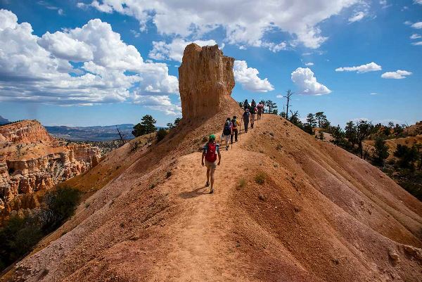 Hiking and Camping in Utah (Intrepid)