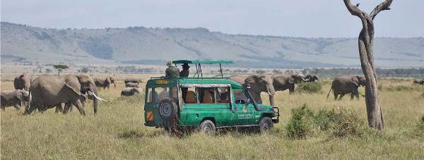 Luxury Kenya (Lion World Travel)