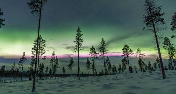 Lapland Family Explorer (On The Go)