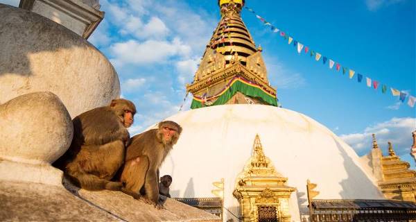 Highlights of Nepal (On The Go Tours)