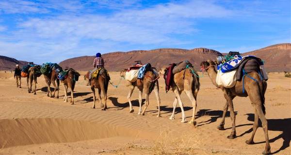 Christmas in Morocco (On The Go Tours)