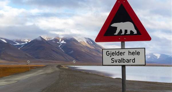Spectacular Svalbard (On The Go)