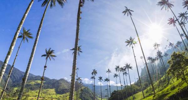 Bogota to Tayrona (On The Go)