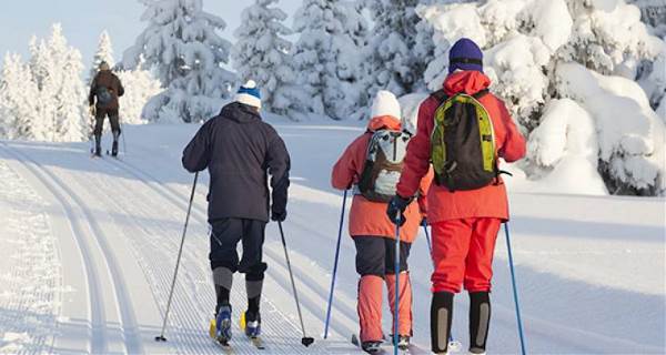 Levi Lapland Explorer (On The Go)