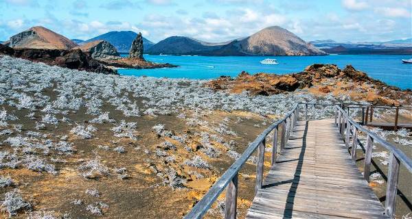 Ecuador Highlands & Galapagos Islands (On The Go)